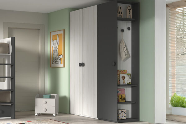 Custom Kids Bunk Beds F814 - Wardrobe